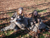 Pic of the Week 1/29/12