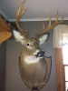 Pic of the Week 12/9/12