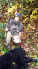 Pic of the Week 10/28/12